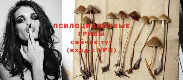 соль курить ск Алзамай