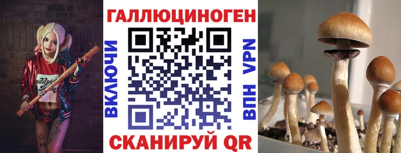 Галлюциногенные грибы Cubensis  Купить где  Горбатов 